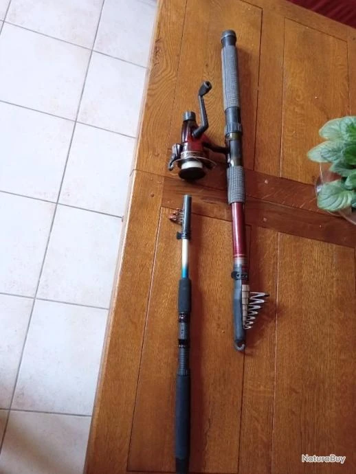 Cannes A Truite 3 Cannes A Truite