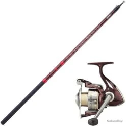 Ensemble Spinning Télescopique Sert Exceed Teletrout Finesse - 3 M / 10-30 G