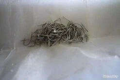 Hameçons 13 Mustad Par 500 Blanc Extra Court