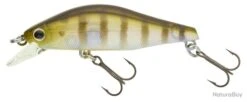 Leurre Daiwa Wise Minnow 50HR - 5cm GHOST PERCH