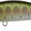Leurre Duo Spearhead Ryuki 45 Sk BABY TROUT 1 Leurre Duo Spearhead Ryuki 45 Sk BABY TROUT -Daiw Peche Magasin 00001 Leurre Duo Spearhead Ryuki 45 Sk BABY TROUT