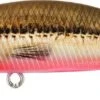 Leurre Duo Spearhead Ryuki 45 Sk VAIRON GREEN BACK-RED BELLY