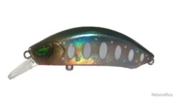 Poisson Nageur MRcraft Rcraft 55 Yamame Green