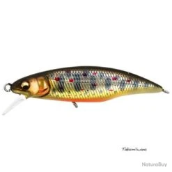 Poisson Nageur Megabass Great Hunting Flat Side Fast Sinking 5 Cm TAKUMI IWANA