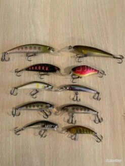 Smith Poissons Nageurs Truite Perche