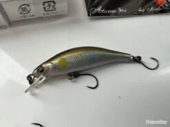 RAYTUNE - RX50RS - 3,5GR - AYU