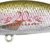 DUO RYUKI 50S - CCC3836 RAINBOW TROUT ND -Daiw Peche Magasin 00001 RYUKI 50S CCC3836 RAINBOW TROUT ND
