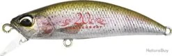 DUO RYUKI 50S - CCC3836 RAINBOW TROUT ND
