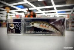 SMITH D-CONTACT 50 Col.33