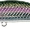 DUO SPEARHEAD RYUKI 45 S - MCC4036 "RAINBOW TROUT" -Daiw Peche Magasin 00001 SPEARHEAD RYUKI 45 S MCC4036 RAINBOW TROUT