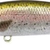 DUO SPEARHEAD RYUKI 60 S - CCC3836 RAINBOW TROUT ND -Daiw Peche Magasin 00001 SPEARHEAD RYUKI 60 S CCC3836 RAINBOW TROUT ND