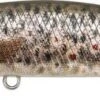DUO SPEARHEAD RYUKI 80 S - CCC3815 BROWN TROUT ND