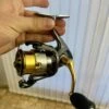 Shimano Stella C2000HGS FI -Daiw Peche Magasin 00001 Shimano Stella C2000HGS FI