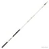 Triforce 3.88 M 20-60 G Canne Bombette Daiwa -Daiw Peche Magasin 00001 Triforce 3.88 M 20 60 G Canne Bombette Daiwa