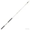 Triforce 4.18 M 20-60 G Canne Bombette Daiwa -Daiw Peche Magasin 00001 Triforce 4.18 M 20 60 G Canne Bombette Daiwa