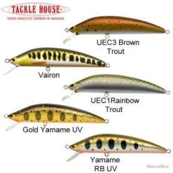 Leurre K-Ten Blue Ocean S Tackle House BKS 75 - 7,5cm Gold Yamame UV -Daiw Peche Magasin 00002 Leurre K Ten Blue Ocean S Tackle House BKS 75 7 5cm Gold Yamame UV