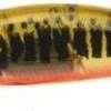 SAKURA PHOXY MINNOW 50 HW SINKING NPC V01 -Daiw Peche Magasin 00002 PHOXY MINNOW 50 HW SINKING NPC V01