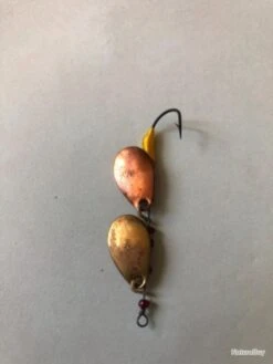 4 Cuillère Double Or Cuivre 3 Cm Pêche TRUITE Occasion Collection -Daiw Peche Magasin 00003 4 cuillere double or cuivre 3 cm peche TRUITE occasion collection