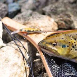 Epuisette Bois Illex Stream Master L -Daiw Peche Magasin 00003 Epuisette Bois Illex Stream Master L