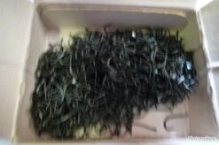 Hameçons 16 Canelle Par 1000 Bleu Renversé -Daiw Peche Magasin 00003 Hamecons 16 canelle par 1000 bleu renverse