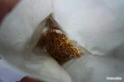 Hameçons 18 Canelle Par 1000 Doré Fin Renversé -Daiw Peche Magasin 00003 Hamecons 18 canelle par 1000 dore fin renverse