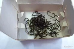 Hameçons 14 MUSTAD 530 Lot 500 Ha -Daiw Peche Magasin 00003 Hamecons MUSTAD 530 lot 500 ha