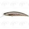 Leurre Truite Duo Spearhead Ryuki 80S Et SW Brown Trout Coulant 12gr 80mm