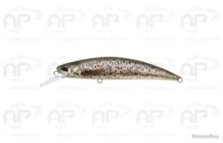 Leurre Truite Duo Spearhead Ryuki 80S Et SW Brown Trout Coulant 12gr 80mm
