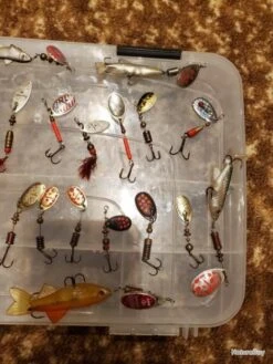 Lot De Cuillères Caperlan -Daiw Peche Magasin 00003 Lot de cuilleres caperlan