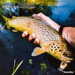 Canne Spinning Spro Trout Master NT Lite Influence 1.80m 2-12g -Daiw Peche Magasin 00005 Canne Spinning Spro Trout Master NT Lite Influence 1.80m 2 12g