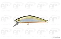 Leurre Truite Smith D Compact 38 & 45 04 3,5 G 45mm