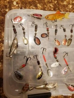 Lot De Cuillères Caperlan -Daiw Peche Magasin 00005 Lot de cuilleres caperlan