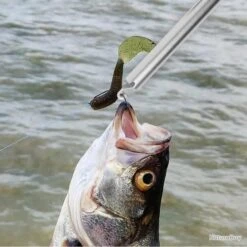 PROMOTION : PINCE À DÉGORGER + DRAGONE OFFERTE -Daiw Peche Magasin 00006 PROMOTION PINCE A DEGORGER DRAGONE OFFERTE