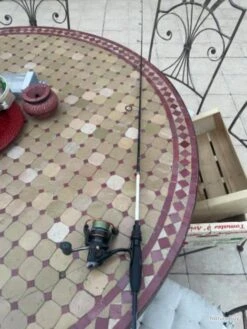 Lot De Canne à Pêche Truite -Daiw Peche Magasin 00007 Lot de canne a peche truite