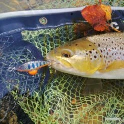 Leurre Sakura Phoxy Spybait 35 S 35mm 4.4g Real Life Fario Trout -Daiw Peche Magasin 00008 Leurre Sakura Phoxy Spybait 35 S 35mm 4.4g Real Life Fario Trout