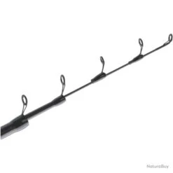 Canne Telescopique Mitchell Epic RZ Adjustable - Destockage - 5 M / 2 - 12 G -Daiw Peche Magasin 00010 Canne telescopique Mitchell Epic RZ Adjustable Destockage 5 m 2 12 g