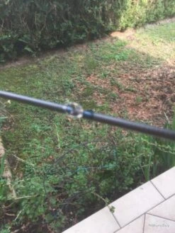 Canne à Pêche Truite -Daiw Peche Magasin 00011 Canne a peche truite