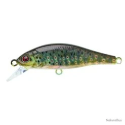 Leurre Coulant Sakura Flat Phoxy Minnow Hw - Brown Vairon / 8 G / 6 Cm -Daiw Peche Magasin 00013 Leurre coulant Sakura Flat Phoxy Minnow Hw Brown Vairon 8 g 6 cm