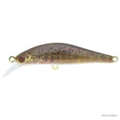 Leurre Sakura Artact Trout - Golden Trout / 8.8 G / 6.3 Cm -Daiw Peche Magasin 00014 Leurre Sakura Artact Trout Golden Trout 8.8 g 6.3 cm