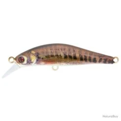 Leurre Sakura Artact Trout - Golden Trout / 8.8 G / 6.3 Cm -Daiw Peche Magasin 00015 Leurre Sakura Artact Trout Golden Trout 8.8 g 6.3 cm