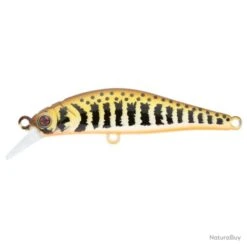 Leurre Sakura Artact Trout - Golden Trout / 6 G / 5.3 Cm -Daiw Peche Magasin 00018 Leurre Sakura Artact Trout Golden Trout 6 g 5.3 cm