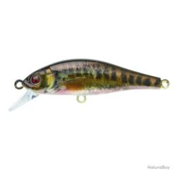 Leurre Coulant Sakura Flat Phoxy Minnow Hw - Ayu / 8 G / 6 Cm -Daiw Peche Magasin 00019 Leurre coulant Sakura Flat Phoxy Minnow Hw Ayu 8 g 6 cm