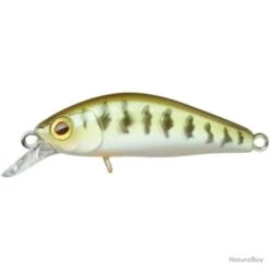 Leurre Illex Chubby Minnow Sp 3,5 Cm - Truitelle / 4 -Daiw Peche Magasin 00035 Leurre Illex Chubby Minnow Sp 3 5 cm Truitelle 4