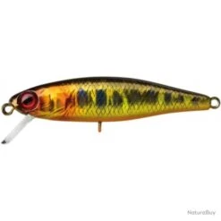 Leurre Illex Tiny Fry 2.7 G - 5,0 Cm - Ayu G Rt Ayu / 1 -Daiw Peche Magasin 00101 Leurre Illex Tiny Fry 2.7 g 5 0 cm Ayu G rt Ayu 1